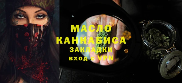 гашик Краснослободск