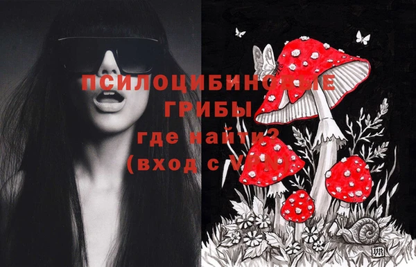 гашик Краснослободск
