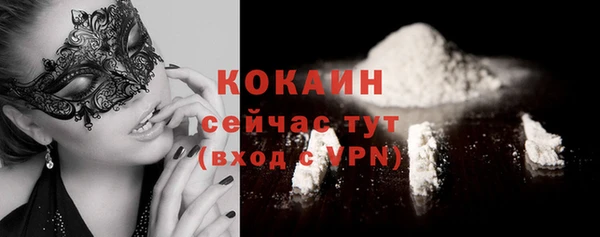 дмт Ладушкин