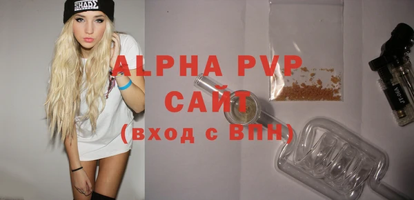 шишки Лабытнанги
