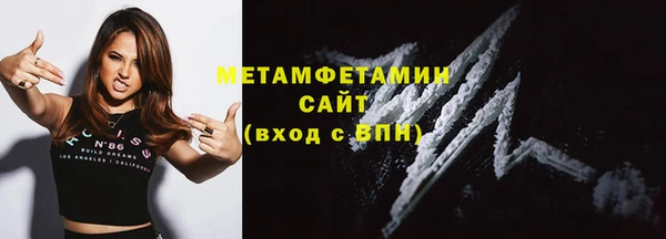 шишки Лабытнанги