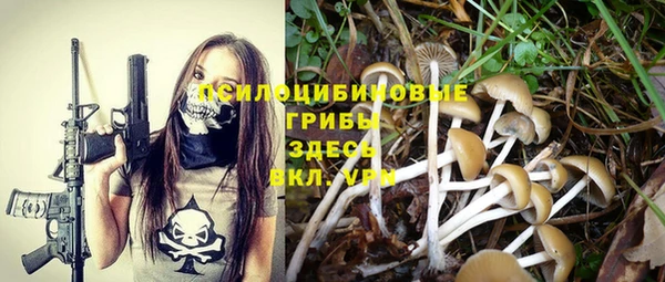 ПСИЛОЦИБИНОВЫЕ ГРИБЫ Куйбышев