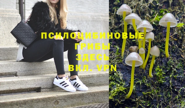 ПСИЛОЦИБИНОВЫЕ ГРИБЫ Болохово