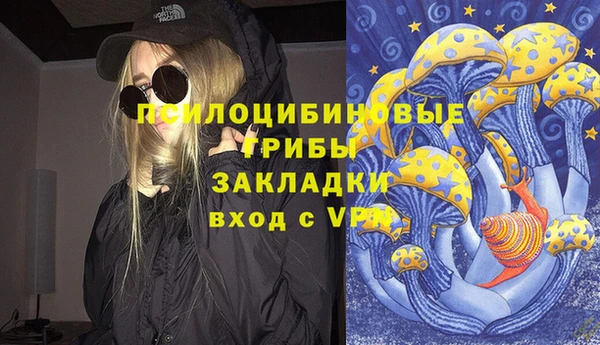 ПСИЛОЦИБИНОВЫЕ ГРИБЫ Куйбышев