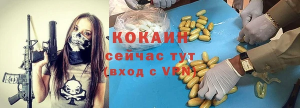 PSILOCYBIN Лагань