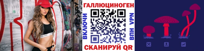 Псилоцибиновые грибы Cubensis  Лыткарино 