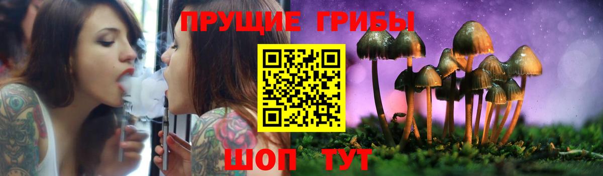 Галлюциногенные грибы GOLDEN TEACHER  где продают наркотики  Лыткарино  Вход с VPN 